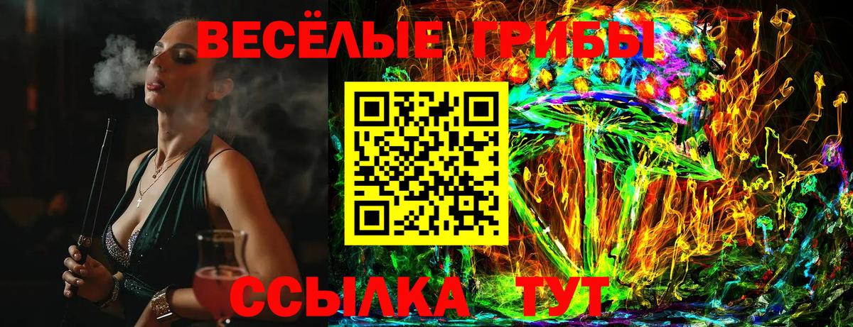 Псилоцибиновые грибы ЛСД  Вход с VPN  закладки  Орехово-Зуево  Псилоцибиновые грибы ЛСД 
