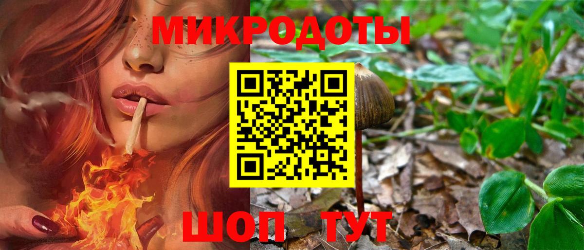 Галлюциногенные грибы Cubensis Орехово-Зуево